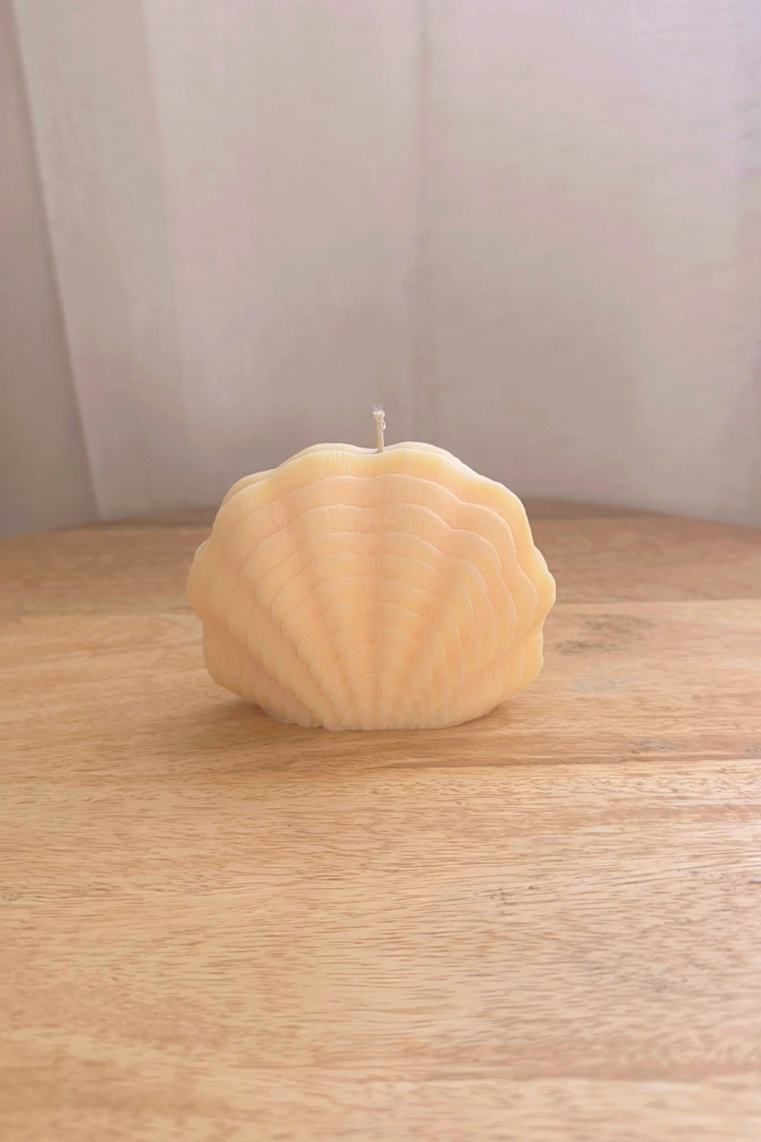 Coquille d'été