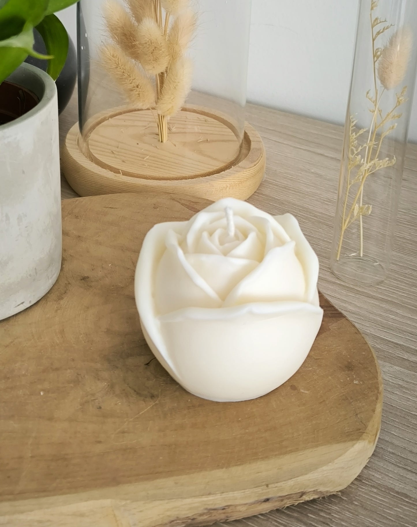 Rose éternelle