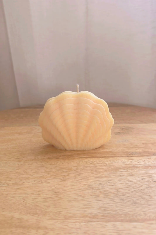 Coquille d'été